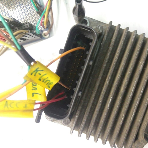 avk6